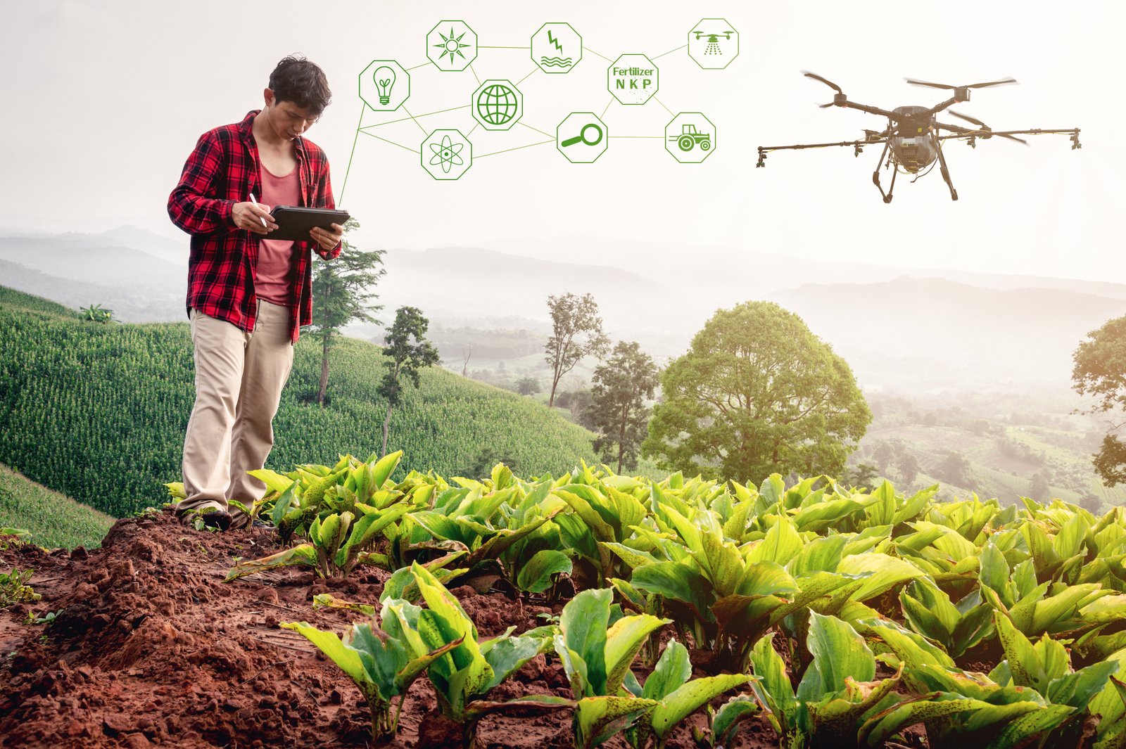 Future of Agri-Tech: Best Career Options After B.Sc. Agriculture